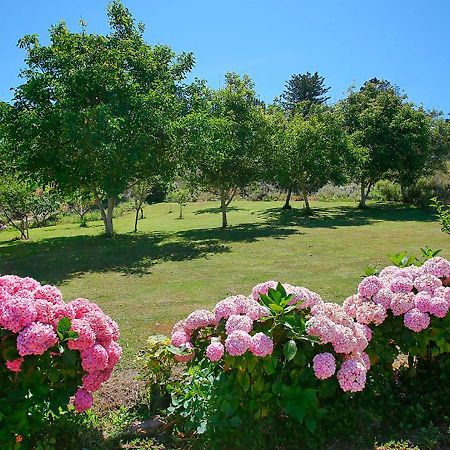 Pension Casa Elena Reinante Εξωτερικό φωτογραφία