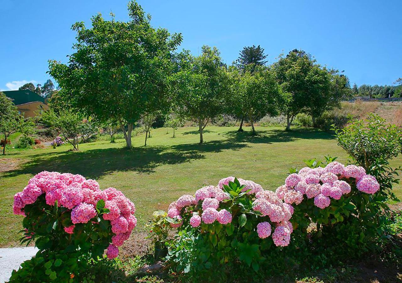 Pension Casa Elena Reinante Εξωτερικό φωτογραφία